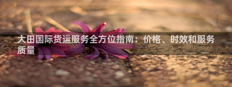 尊龙凯时是赌博嘛：大田国际货运服务全方位指南：价格、时效