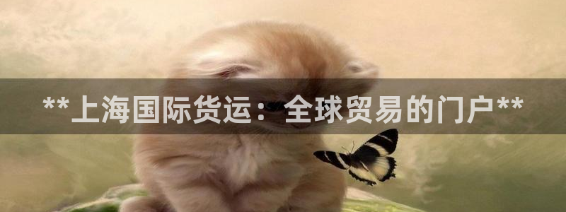 尊龙凯时 - 人生就是搏!提款怎么样：**上海国际货运：