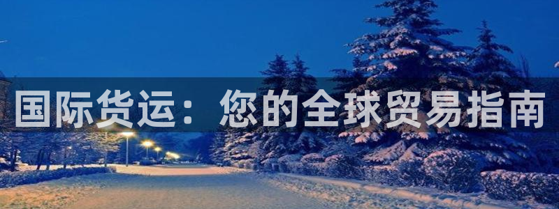 尊龙官网：国际货运：您的全球贸易指南