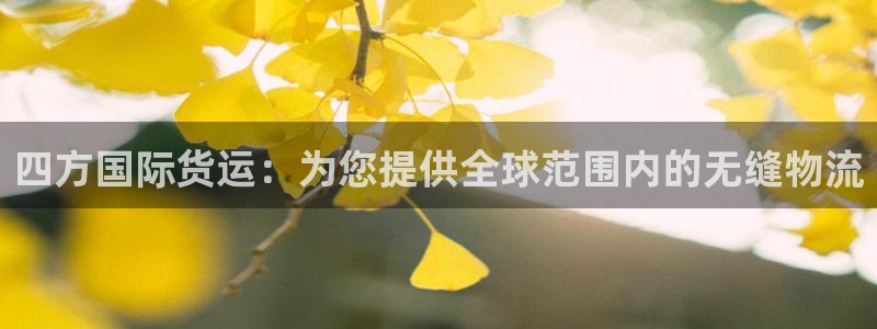 尊龙t200：四方国际货运：为您提供全球范围内的无缝物流