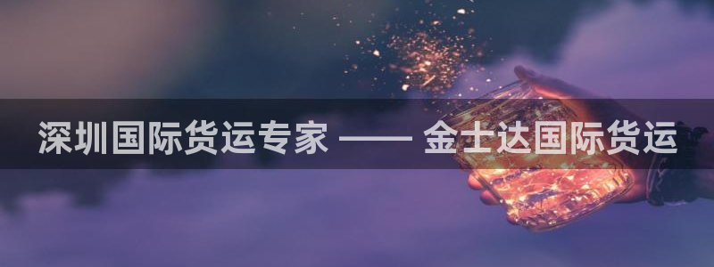 尊龙凯时麻将胡了：深圳国际货运专家 —— 金士达国际货运
