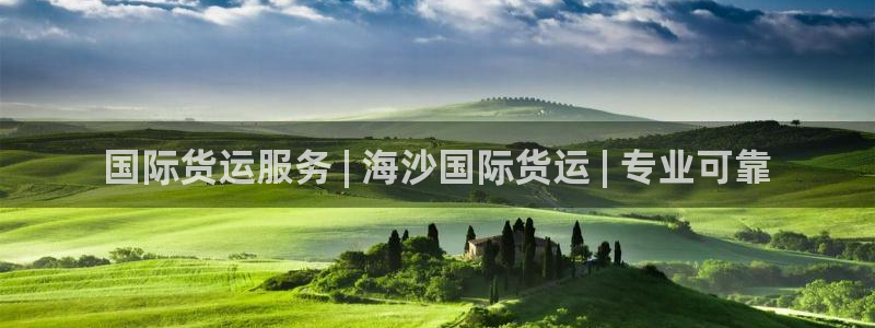 尊龙官网下载：国际货运服务 | 海沙国际货运 | 专业可