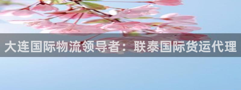 尊龙,人生就是搏：大连国际物流领导者：联泰国际货运代理