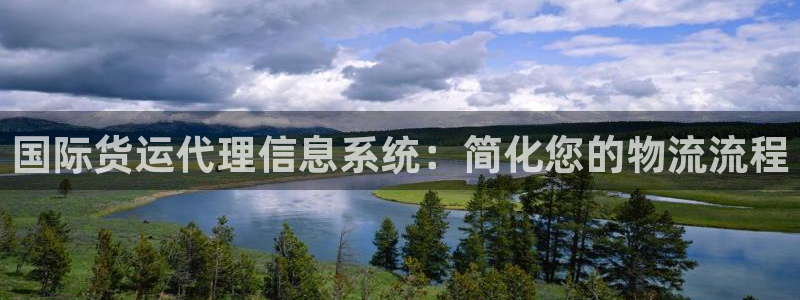 尊龙凯时存款不上分：国际货运代理信息系统：简化您的物流流