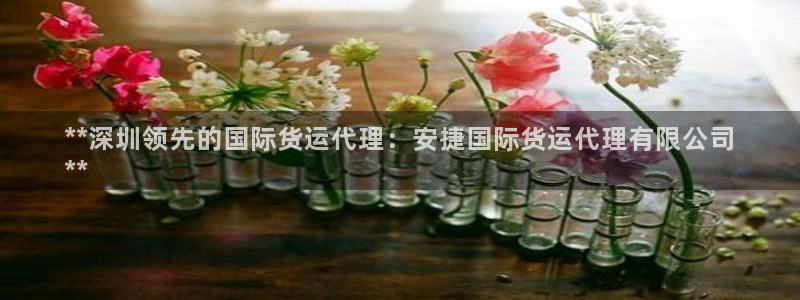 尊龙凯时为什么输了钱：**深圳领先的国际货运代理：安捷国