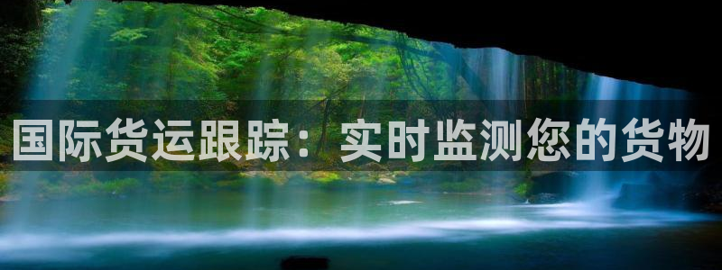尊龙光学怎么样：国际货运跟踪：实时监测您的货物
