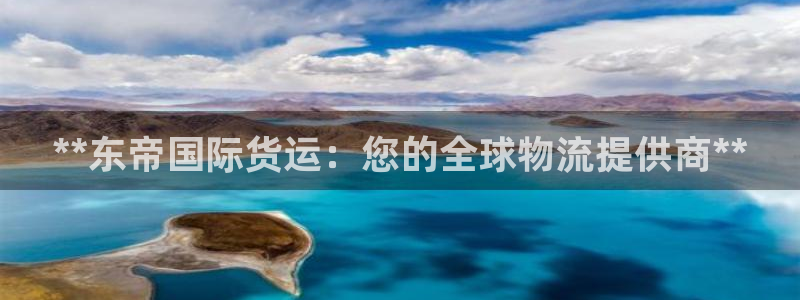 尊龙官网下载：**东帝国际货运：您的全球物流提供商**