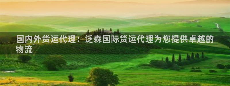 尊龙z6集团：国内外货运代理：泛森国际货运代理为您提供卓