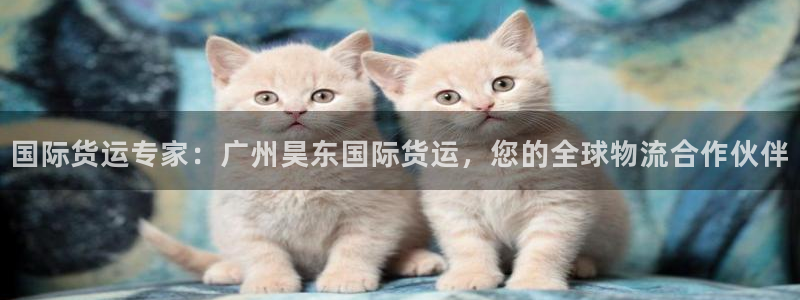 尊龙d88现金关注ag发财网：国际货运专家：广州昊东国际