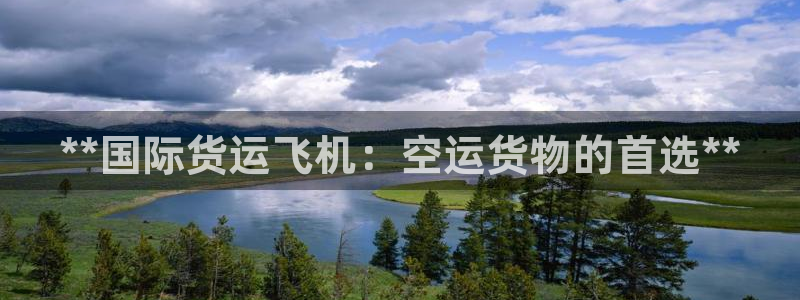 尊龙凯时官方下载：**国际货运飞机：空运货物的首选**