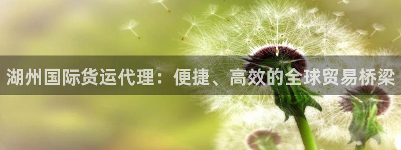 尊龙凯时能做退米么：湖州国际货运代理：便捷、高效的全球贸