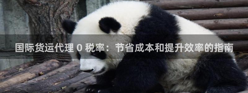 尊龙t400和尊龙t300区别：国际货运代理 0 税率：