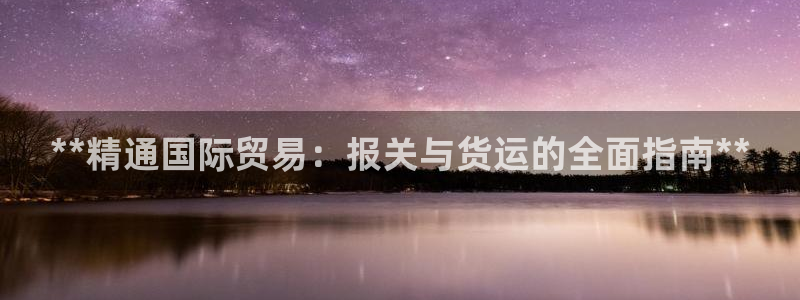 尊龙官网手机版下载：**精通国际贸易：报关与货运的全面指