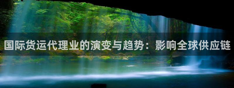 尊龙集团有限公司官网地址：国际货运代理业的演变与趋势：影