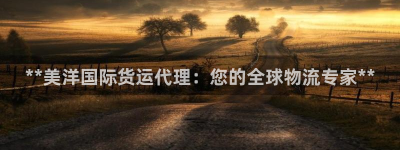 尊龙网站人生就是博：**美洋国际货运代理：您的全球物流专