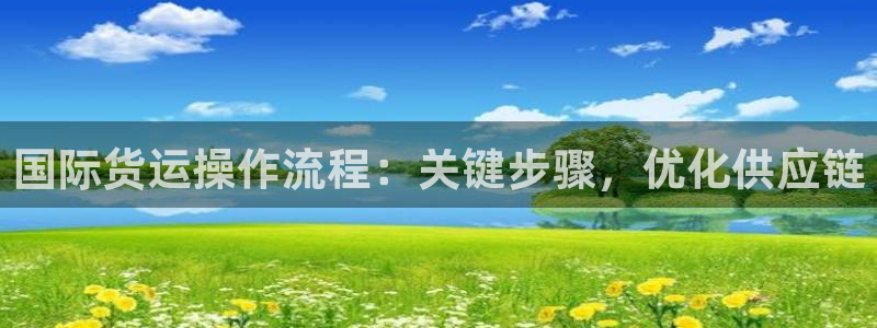尊龙ktv怎么样：国际货运操作流程：关键步骤，优化供应链