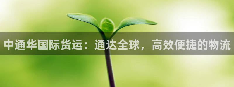 尊龙软件下载：中通华国际货运：通达全球，高效便捷的物流