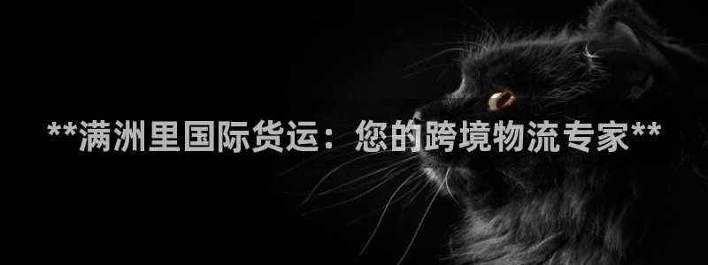 z6com尊龙凯时：**满洲里国际货运：您的跨境物流专家
