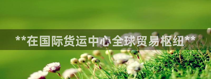 尊龙官网手：**在国际货运中心全球贸易枢纽**