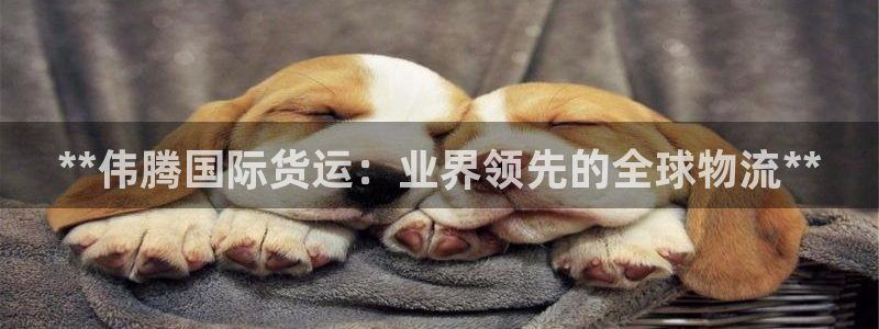 尊龙凯时官网平台：**伟腾国际货运：业界领先的全球物流*