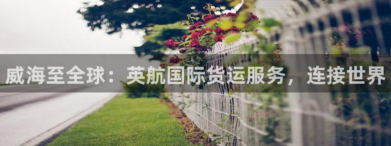 尊龙网站手机下载：威海至全球：英航国际货运服务，连接世界