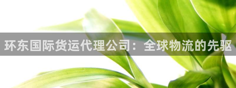 尊龙休闲e站怎么样：环东国际货运代理公司：全球物流的先驱