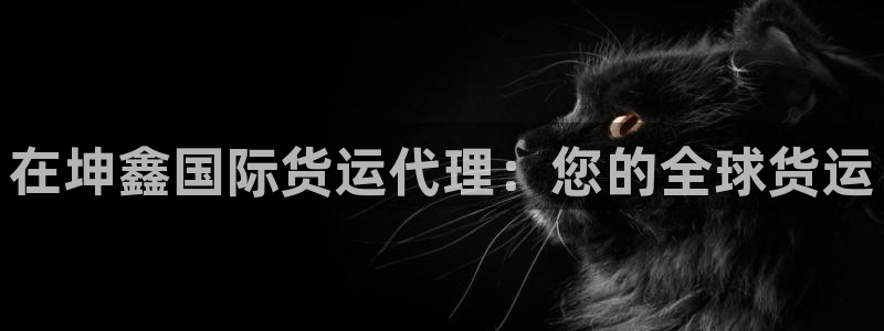 尊龙ag旗舰厅登录 租车app下载：在坤鑫国际货运代理：