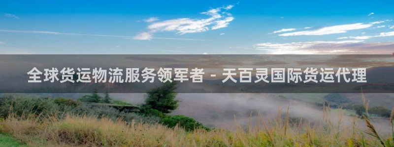 尊龙怎么没消息了：全球货运物流服务领军者 - 天百灵国际