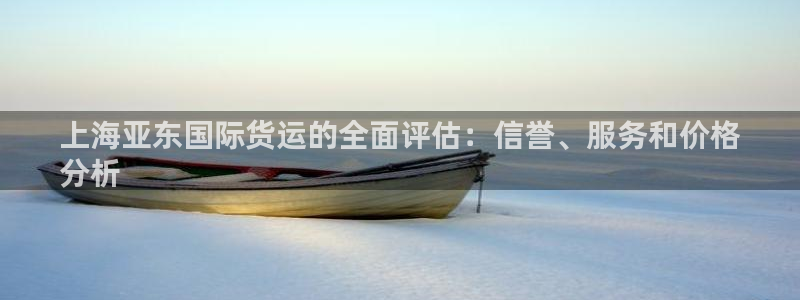 尊龙人生就是博管网：上海亚东国际货运的全面评估：信誉、服