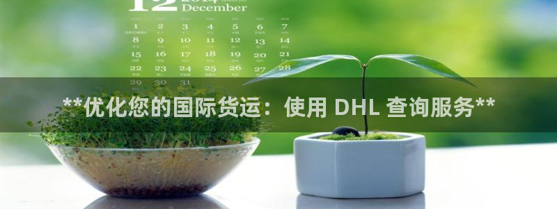 尊龙新版手机app下载：**优化您的国际货运：使用 DH