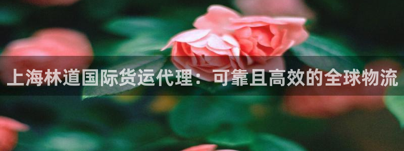 尊龙下载推荐网站：上海林道国际货运代理：可靠且高效的全球