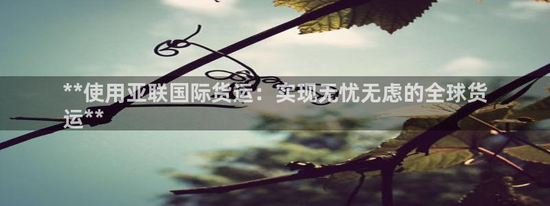 尊龙凯时网站登录：**使用亚联国际货运：实现无忧无虑的全