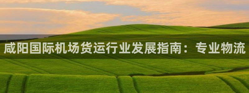 尊龙凯时平台不给出款怎么办：咸阳国际机场货运行业发展指南
