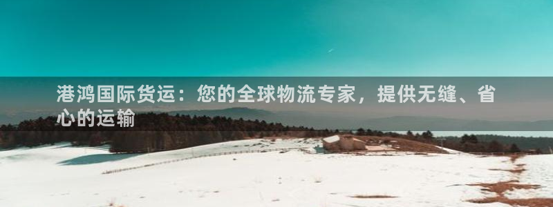 尊龙人生就是-首页：港鸿国际货运：您的全球物流专家，提供