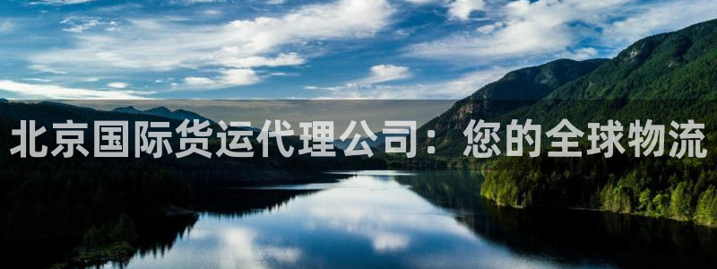 尊龙凯时的企业文化：北京国际货运代理公司：您的全球物流