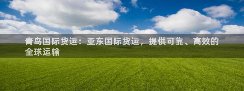 尊龙官网下载：青岛国际货运：亚东国际货运，提供可靠、高效