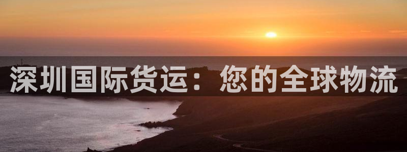 尊龙凯时城游戏官网：深圳国际货运：您的全球物流