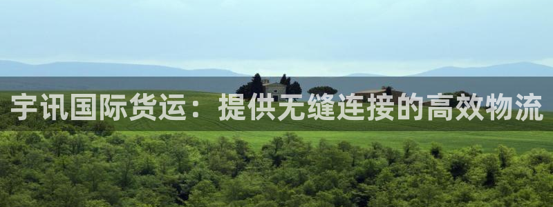 尊龙ktv怎么样：宇讯国际货运：提供无缝连接的高效物流
