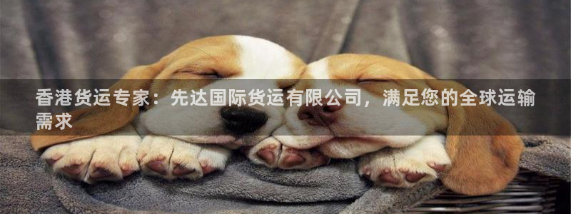 尊龙1003尊龙 - 百度：香港货运专家：先达国际货运有