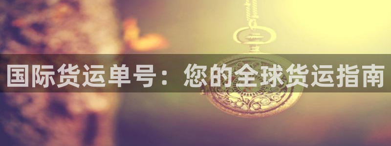 尊龙个人资料简介：国际货运单号：您的全球货运指南