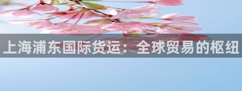 尊龙人生就是博登陆：上海浦东国际货运：全球贸易的枢纽