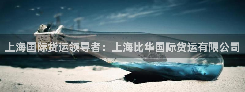 Z6尊龙凯时登录：上海国际货运领导者：上海比华国际货运有