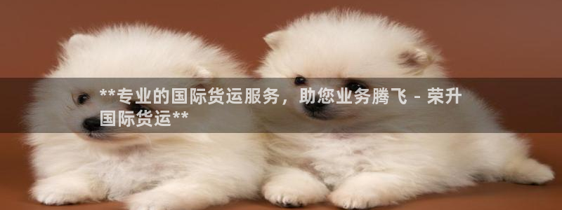 尊龙凯时 人生就是搏!平台：**专业的国际货运服务，助您