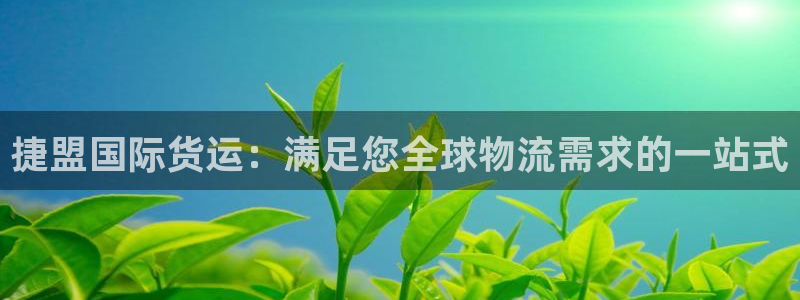 尊龙d88平台版下载：捷盟国际货运：满足您全球物流需求的