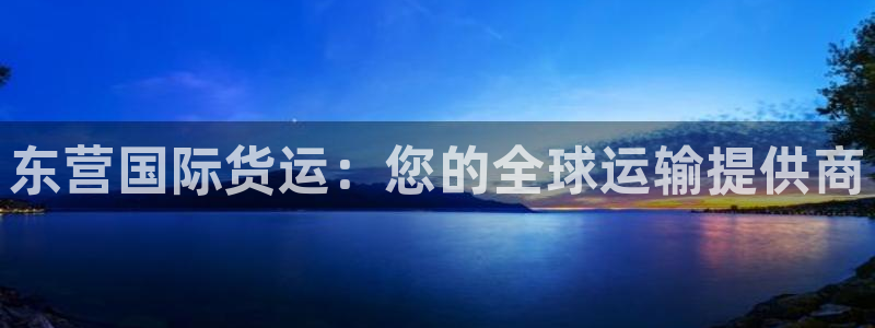尊龙目前照片：东营国际货运：您的全球运输提供商