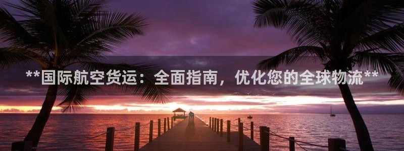 尊龙凯时为什么输了钱：**国际航空货运：全面指南，优化您