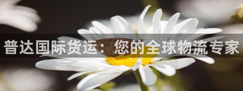 z6com尊龙凯时代理：普达国际货运：您的全球物流专家