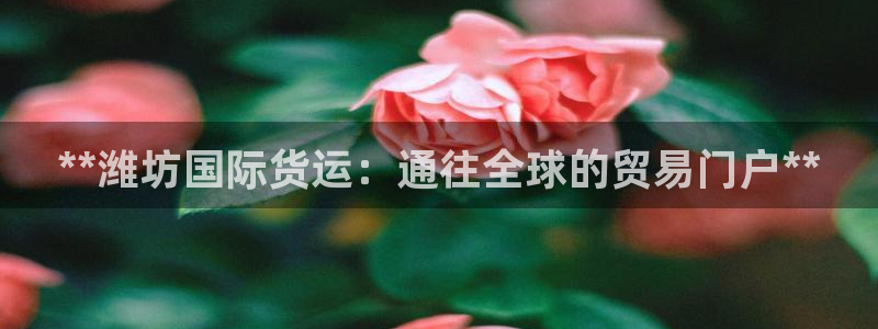 尊龙游戏中心：**潍坊国际货运：通往全球的贸易门户**
