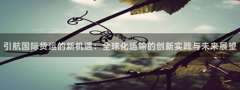 尊龙集团有限公司是国企吗