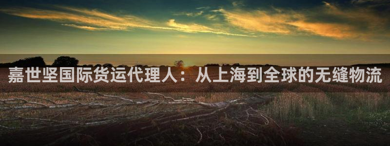 尊龙官网在哪里
